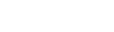 MasterVisa Logo